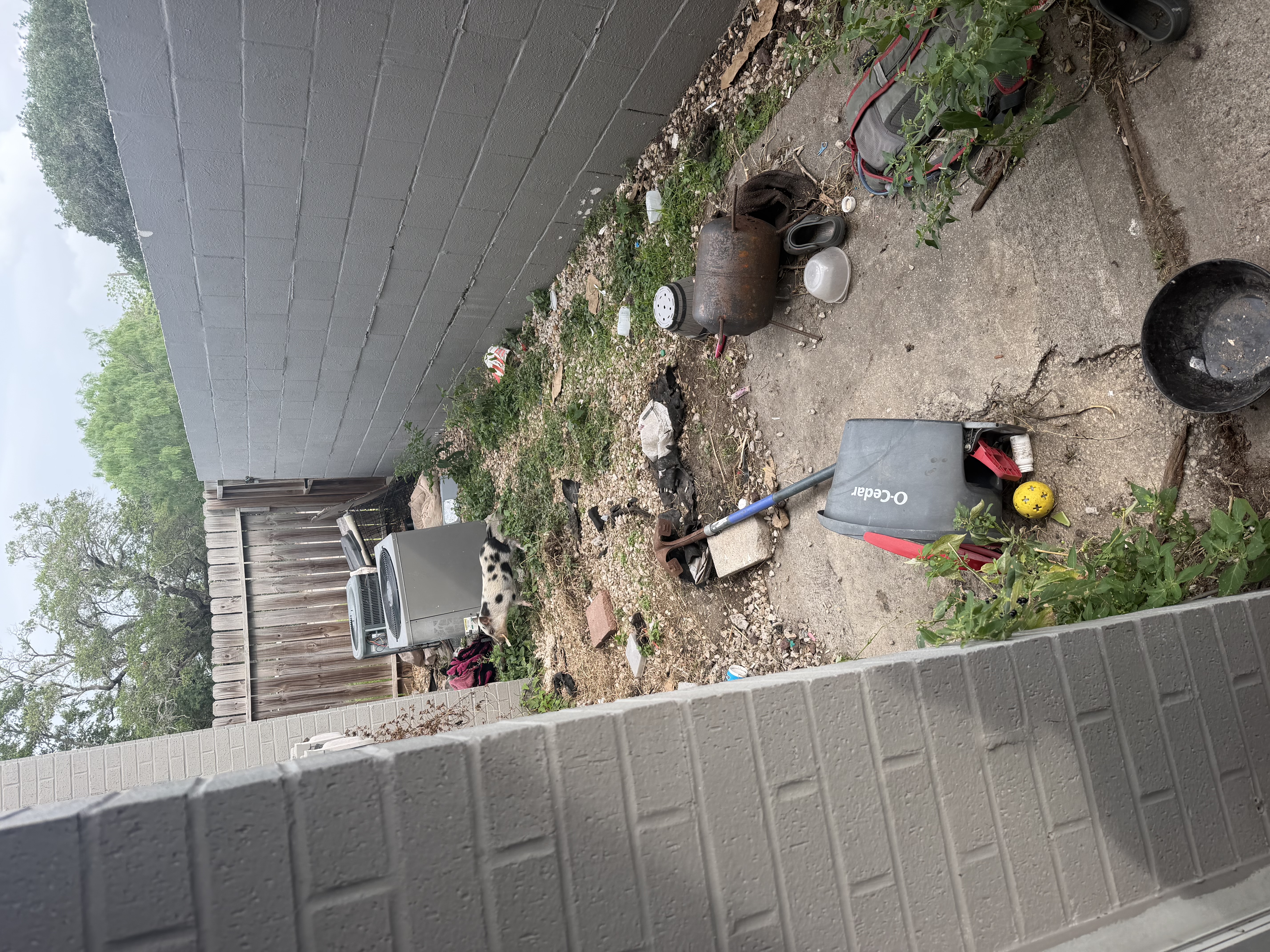Yard before landscaping