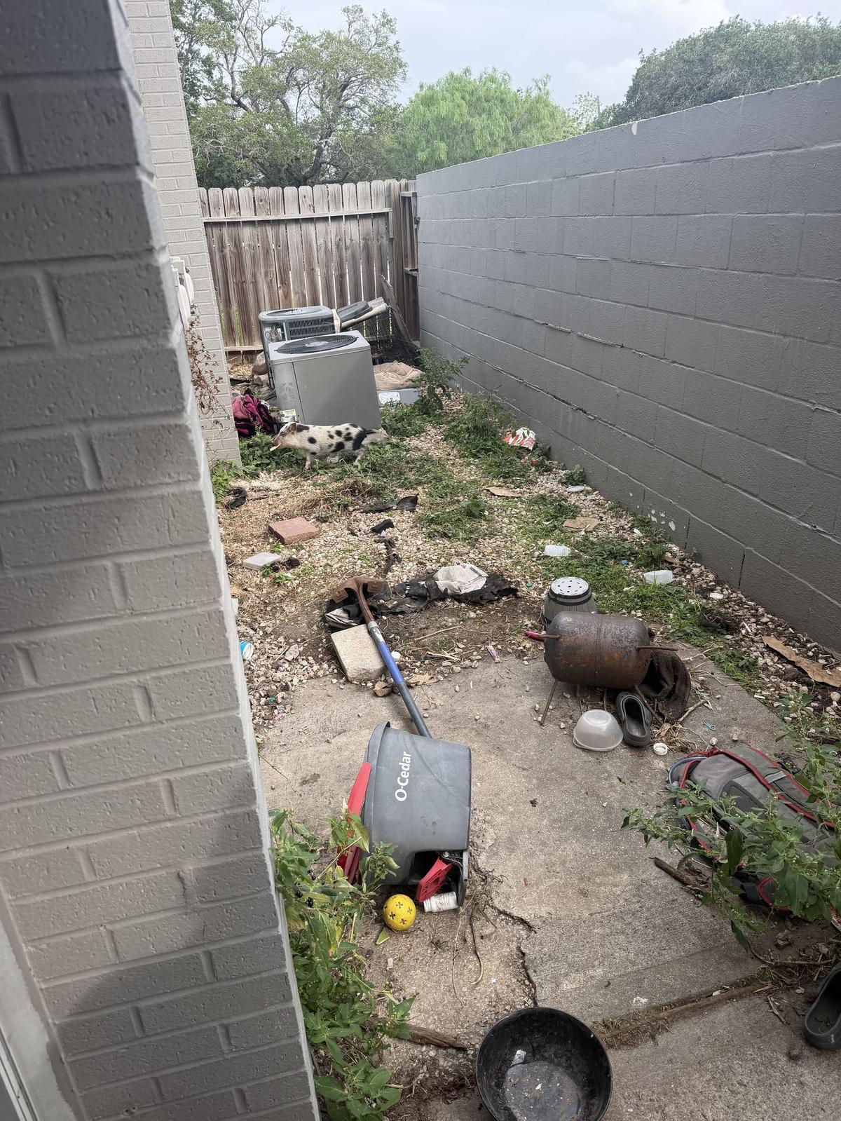 Junk removal and trash hauling Corpus Christi