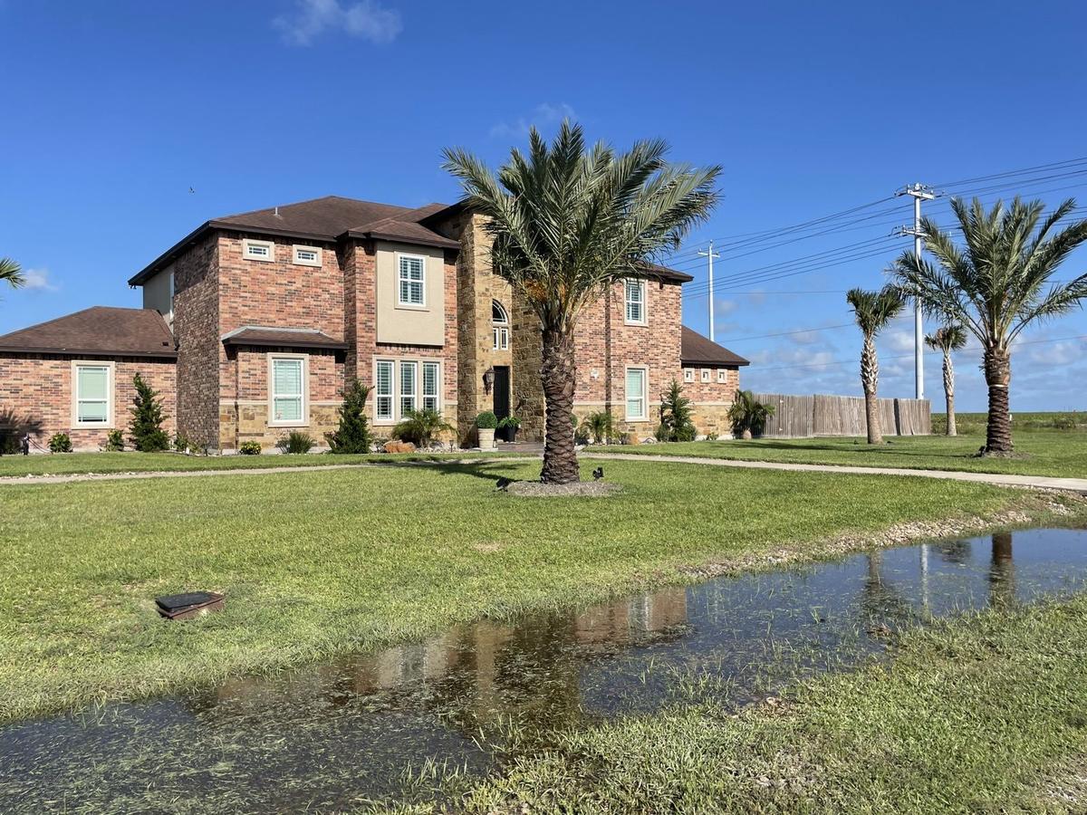Clean yard Corpus Christi