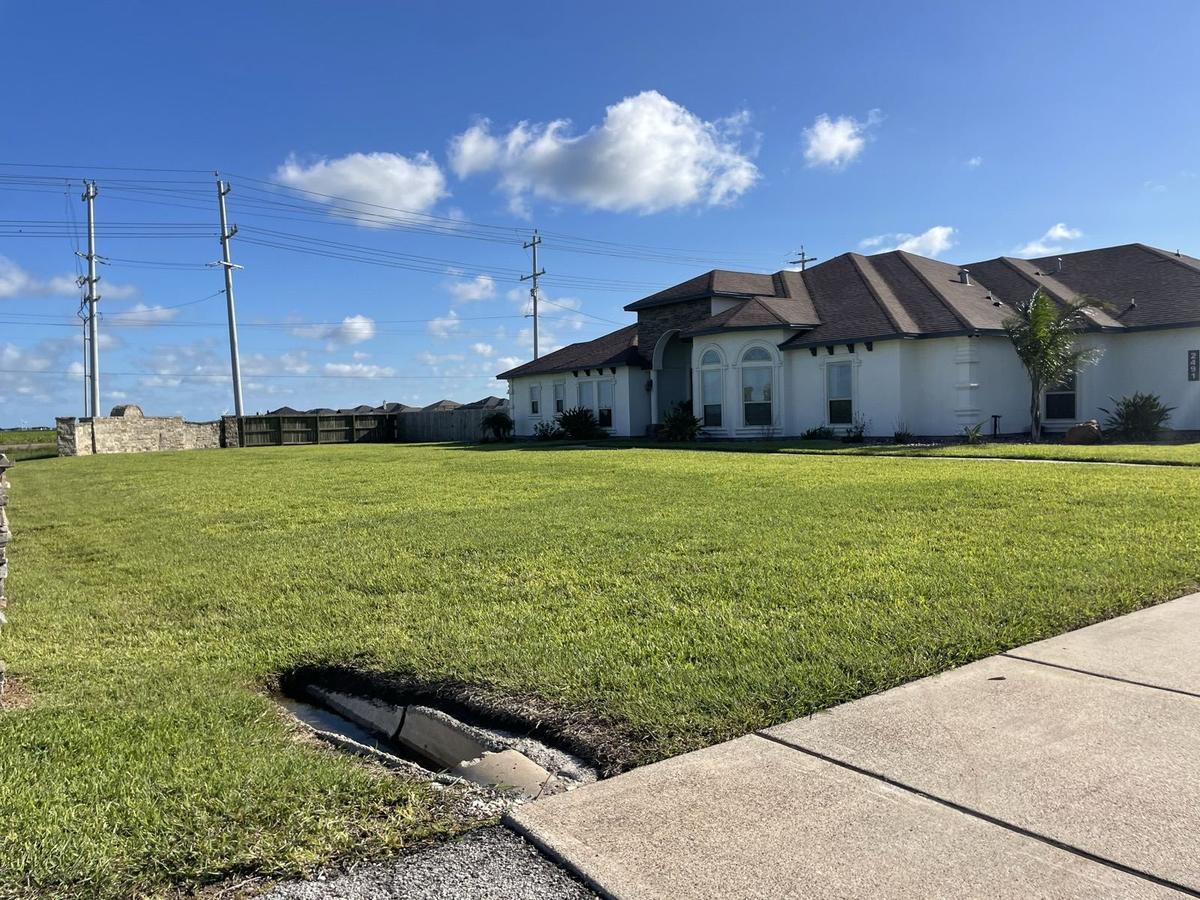Beautiful lawn Corpus Christi