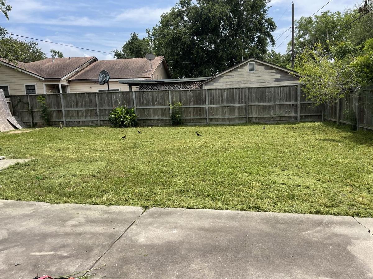 After lot cleanup - clean mowed backyard